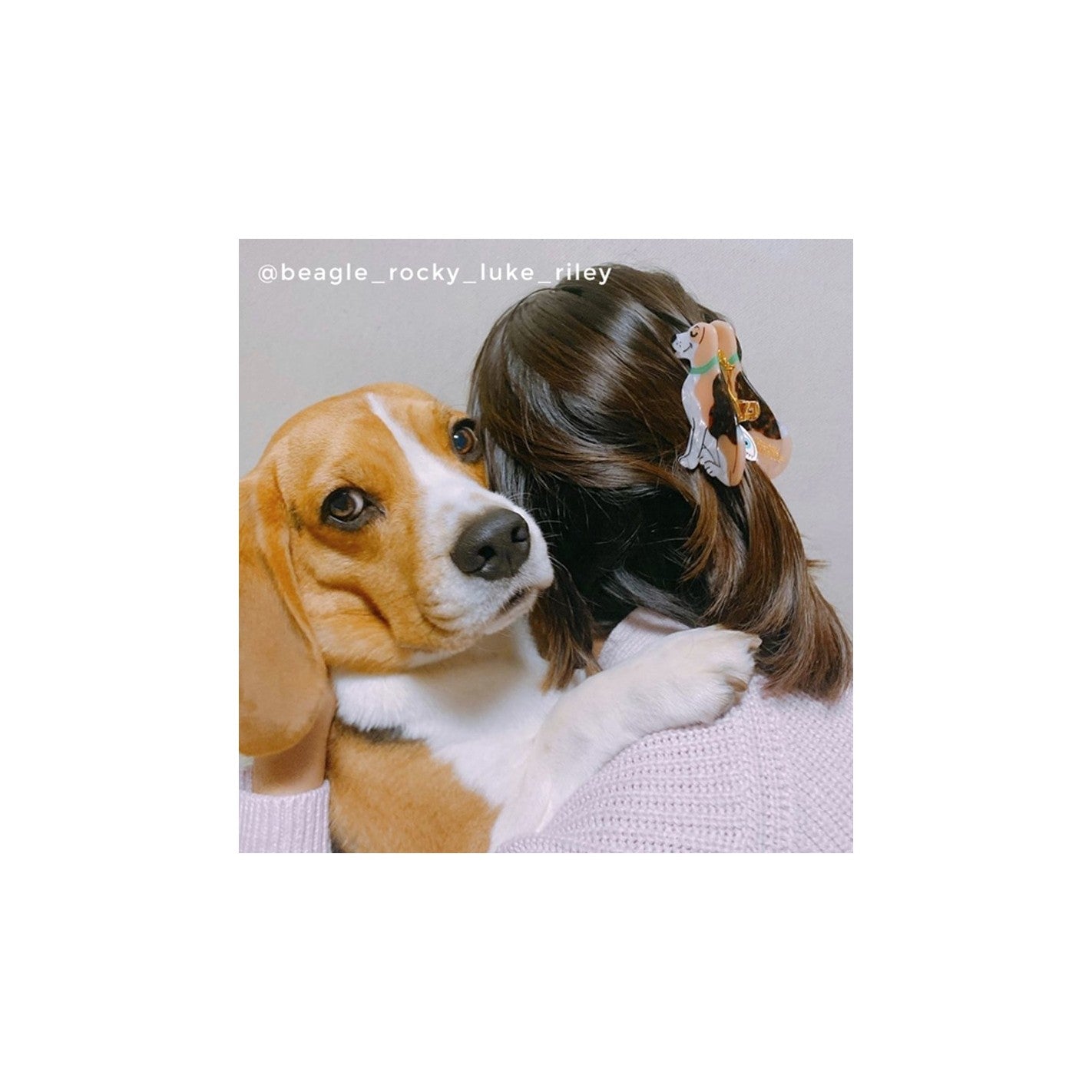 Pince à cheveux Beagle