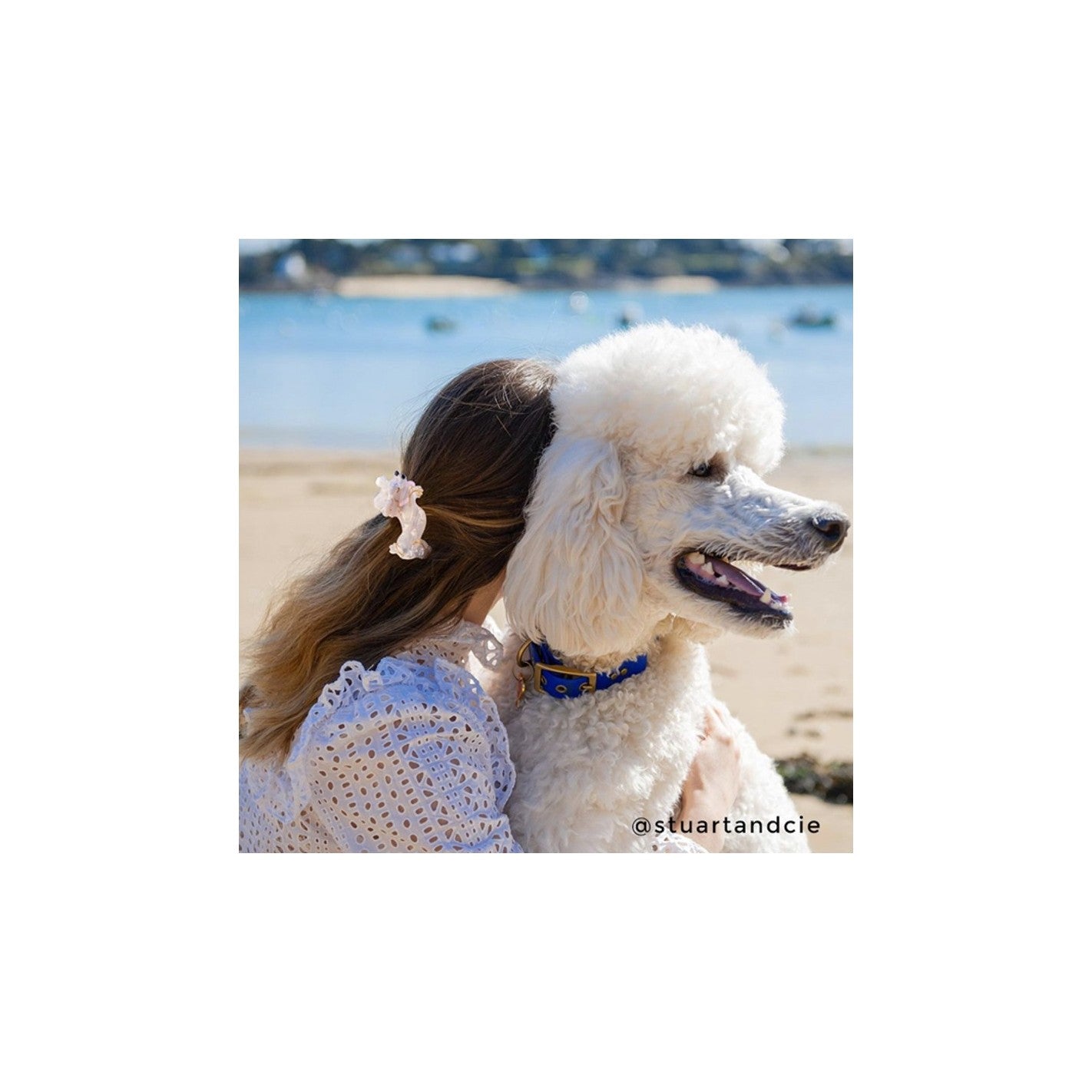 Pince à cheveux Caniche