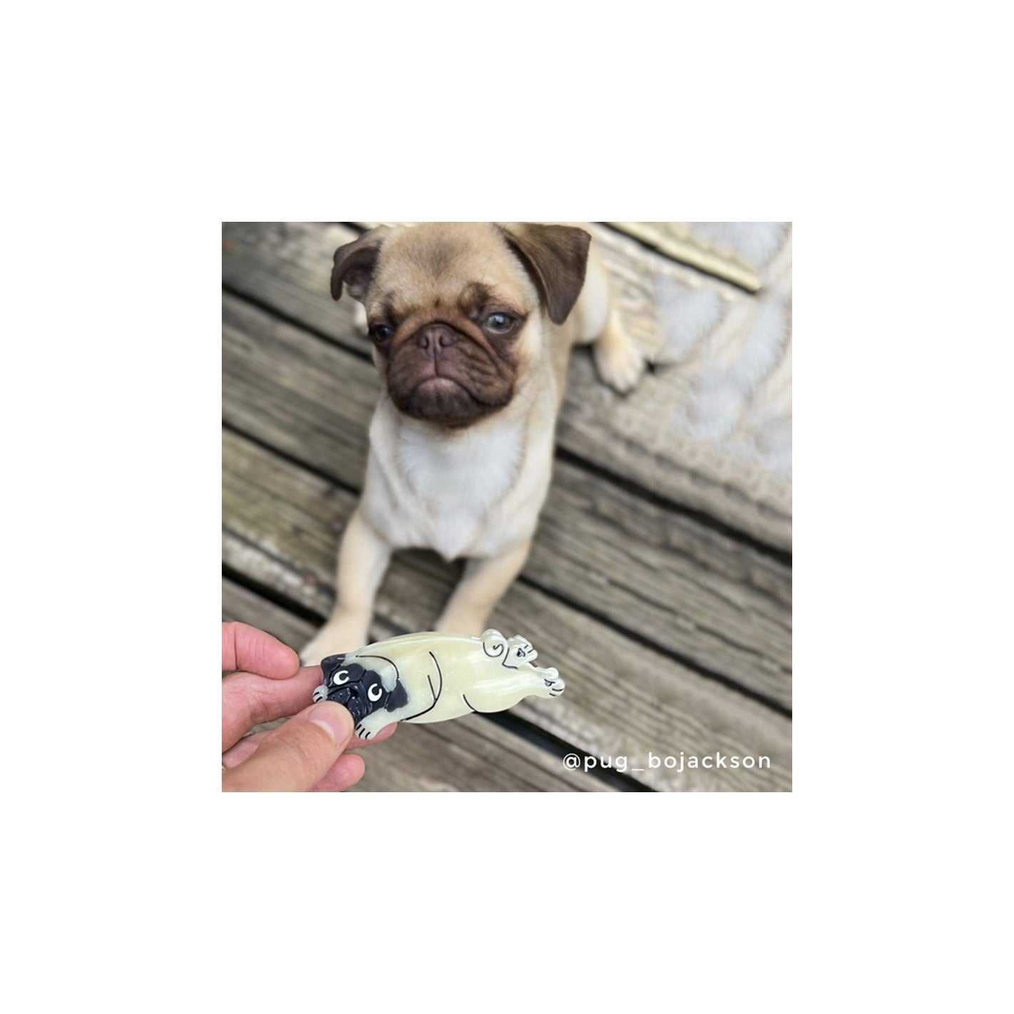 Pince à cheveux Carlin