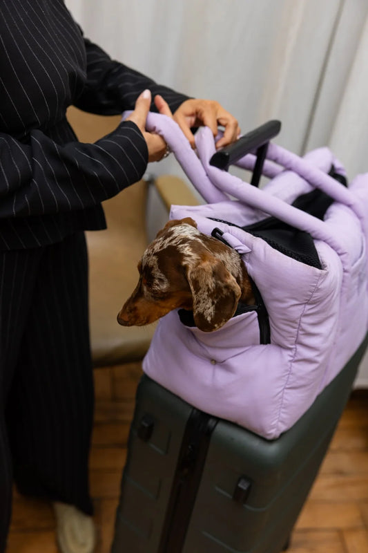Sac de transport pour chiens