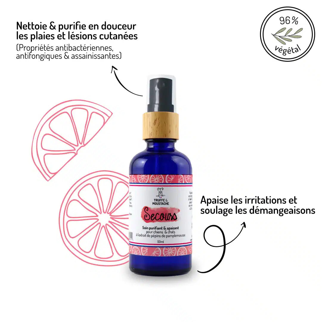 Soin purifiant et anti-démangeaisons