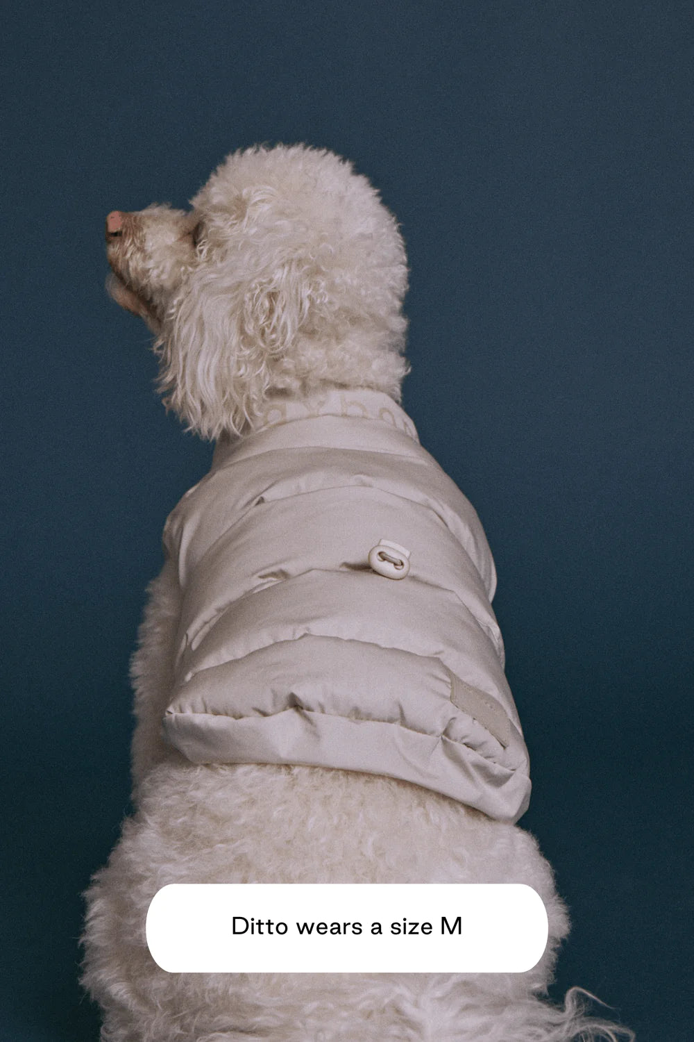 Doudoune pour chien
