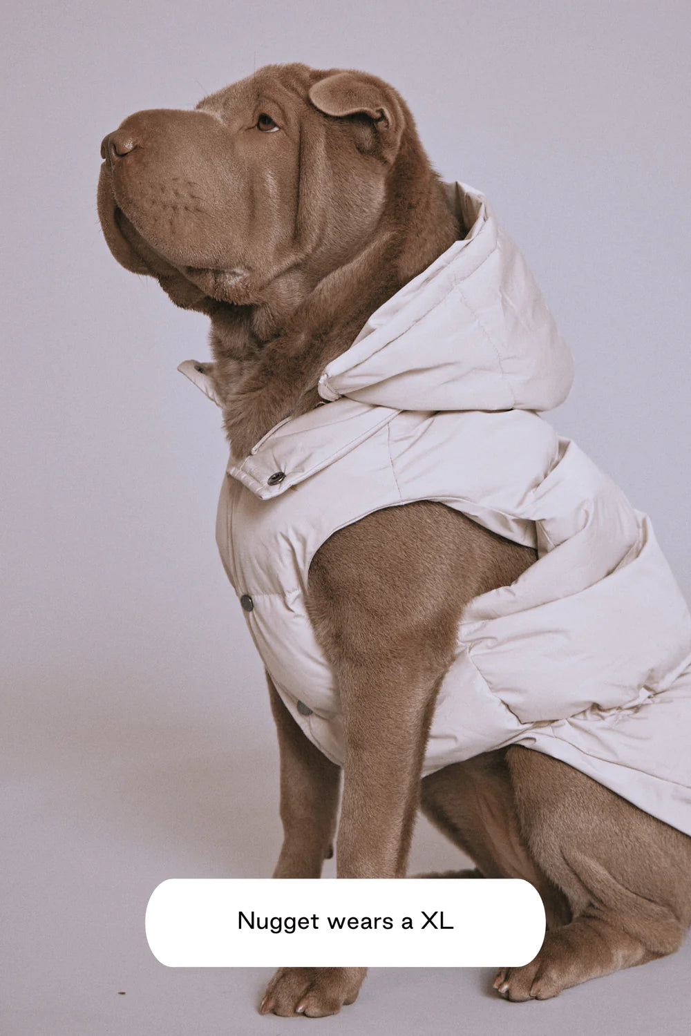 Doudoune pour chien