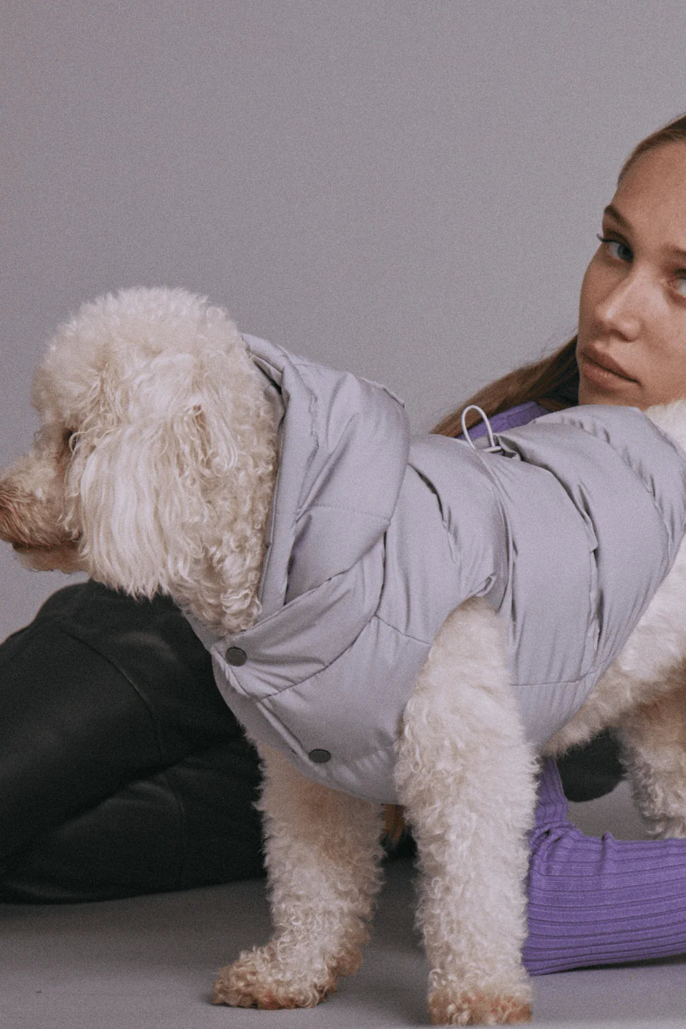 Doudoune pour chien