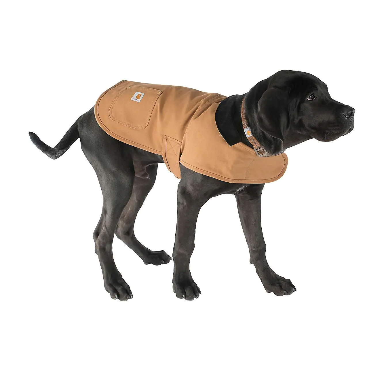 Manteau Firm duck insulated dog chore