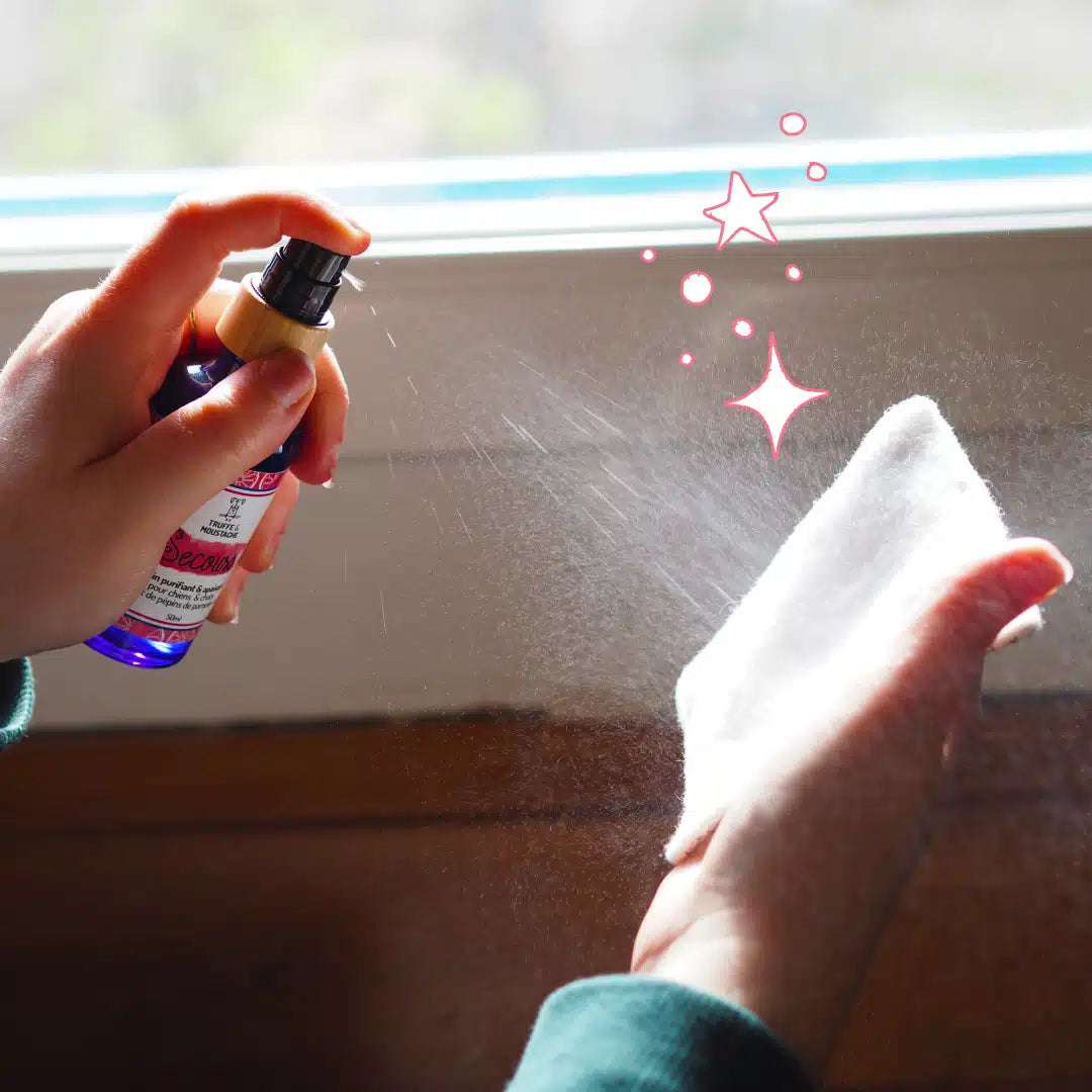 Soin purifiant et anti-démangeaisons