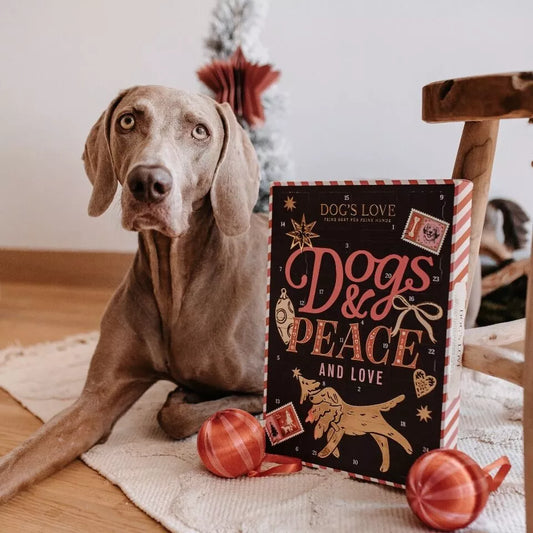 Calendrier de l'avent