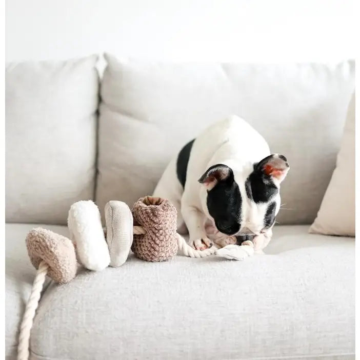 Jouet d'occupation Blocs