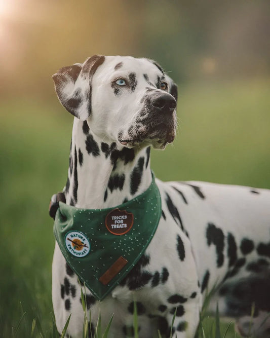 Badge "Tricks for Treats"