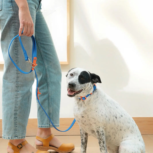 Laisse imperméable bleu