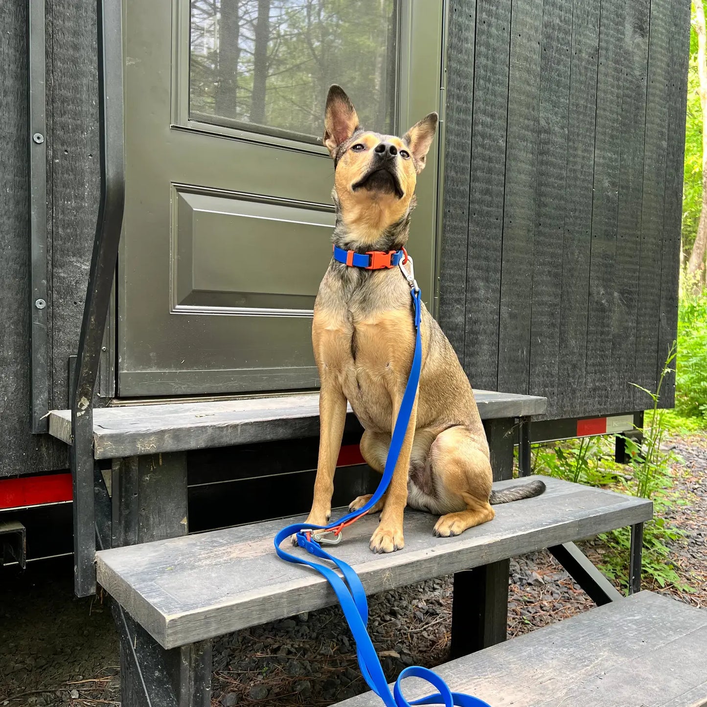 Laisse imperméable bleu