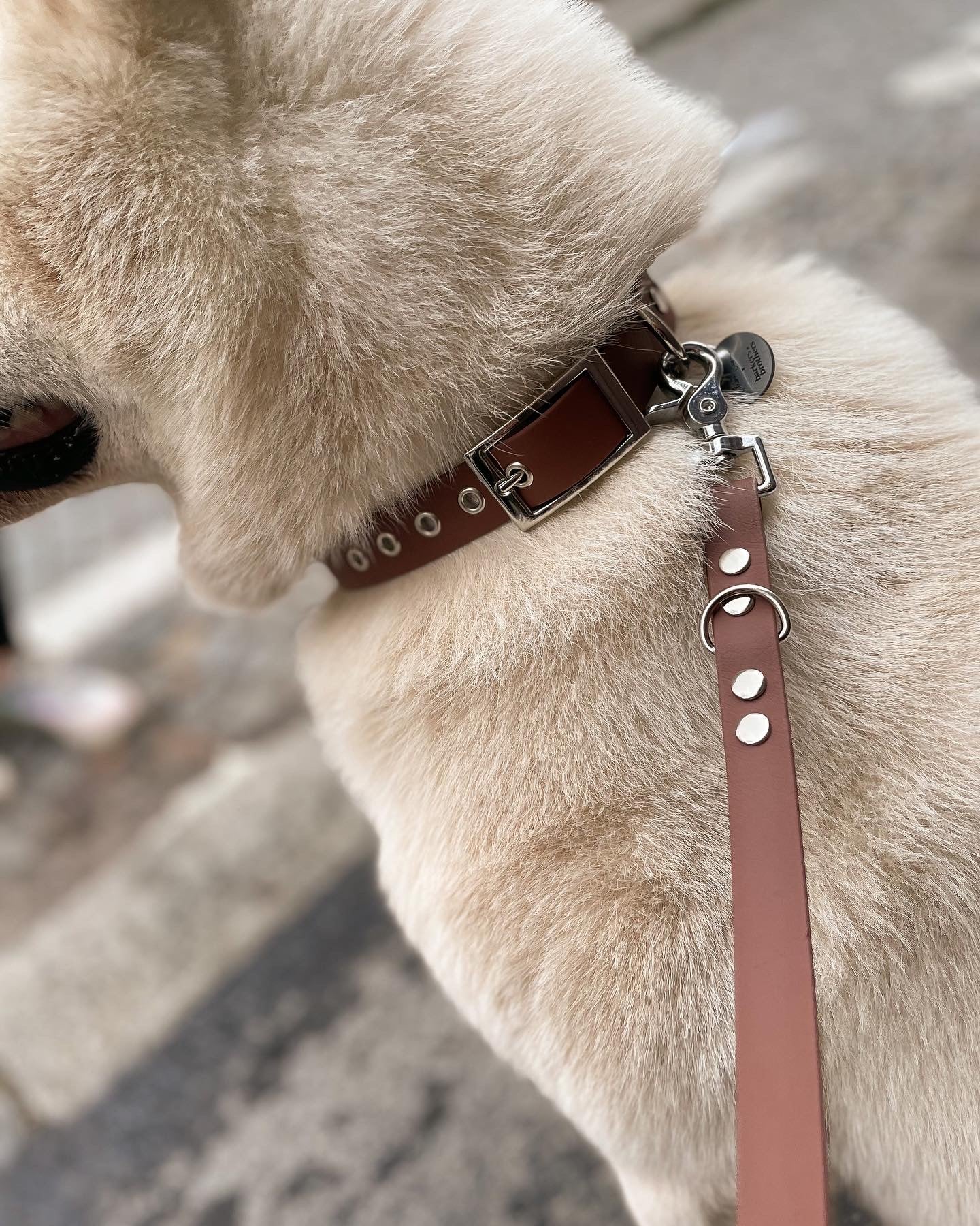 Collier en biothane camel