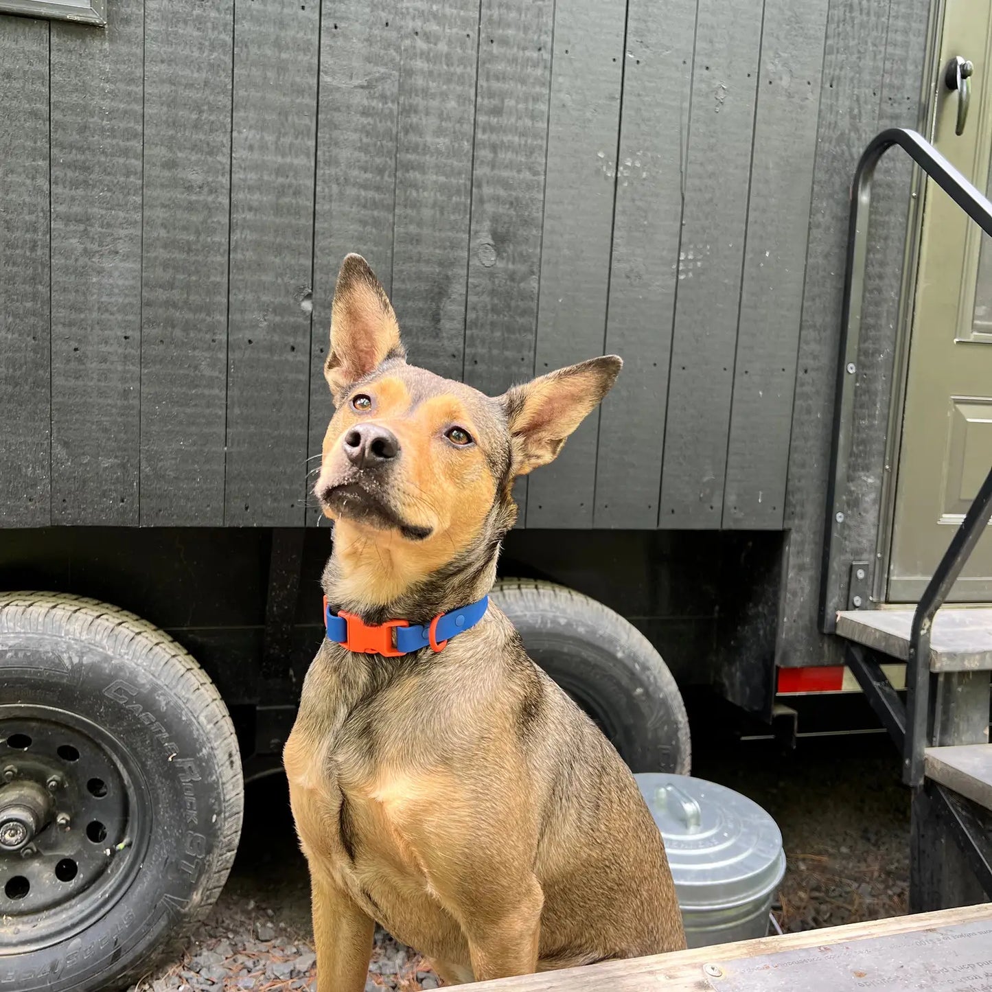 Collier imperméable bleu