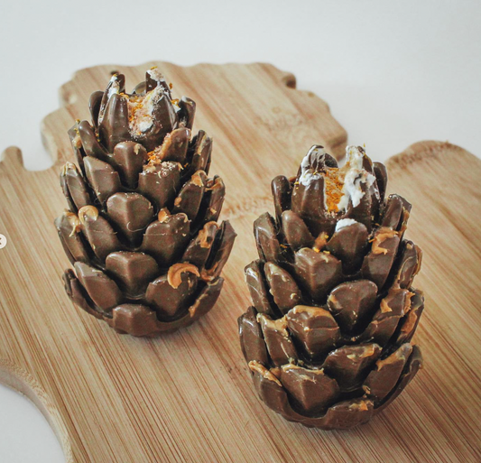 Pomme de Pin de fouille