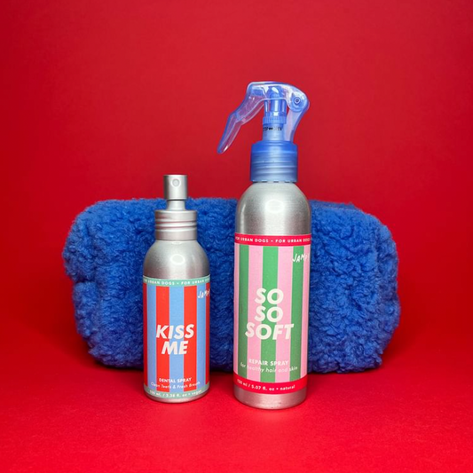 Spray dentaire Kiss Me