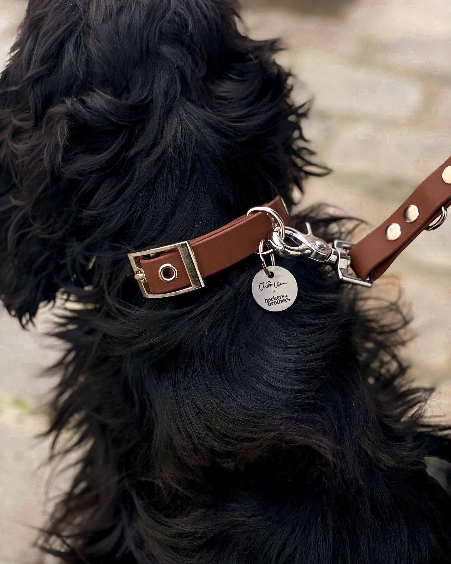 Collier en biothane camel