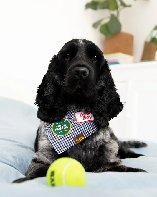 Badge "Fetch Fanatic"