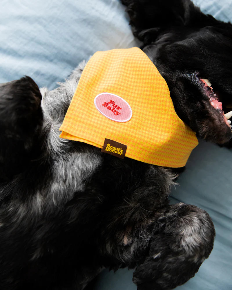 Badge "Fur Baby"