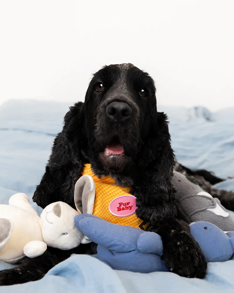 Badge "Fur Baby"