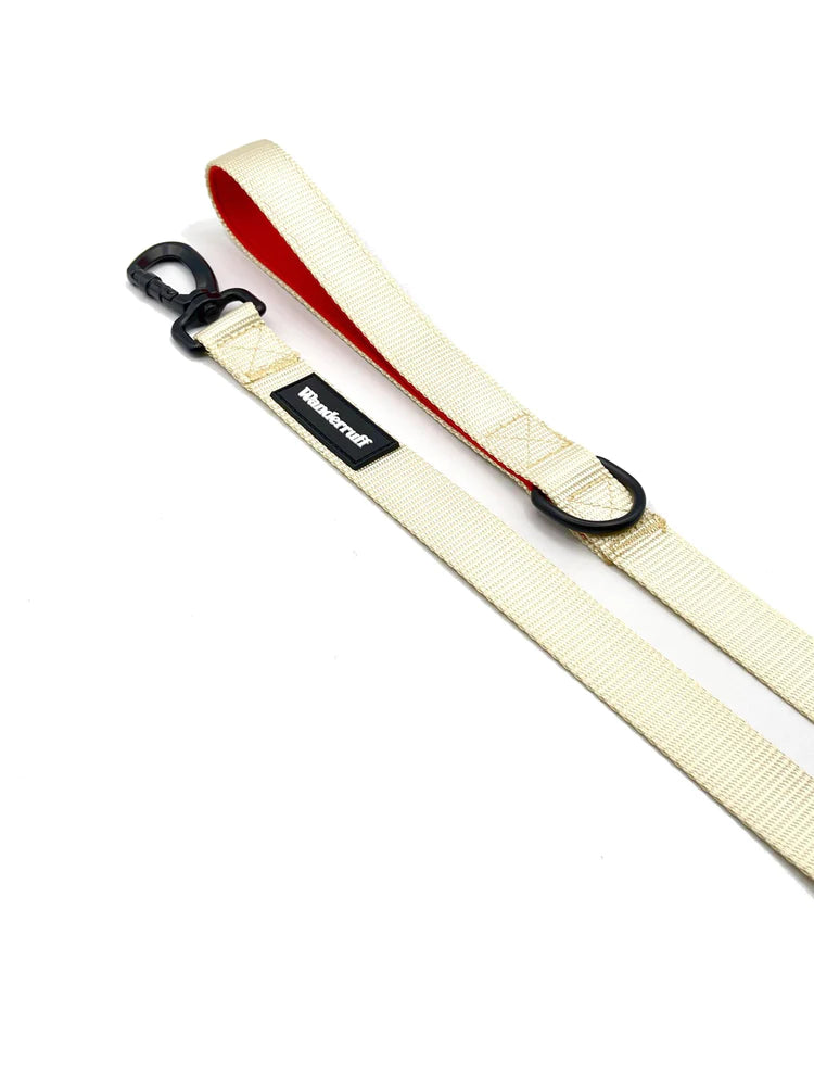 Laisse en sangle Gordy