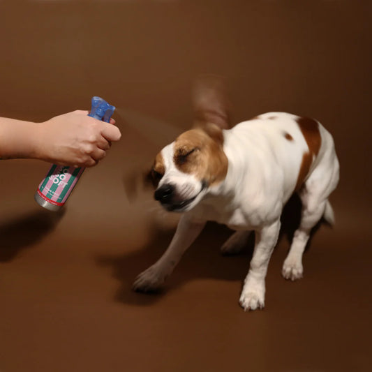 Spray à la kératine So So Soft