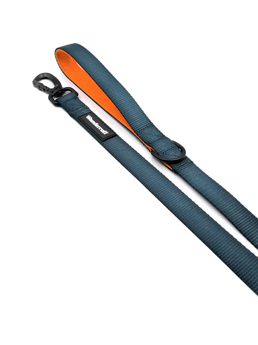 Laisse en sangle Norm