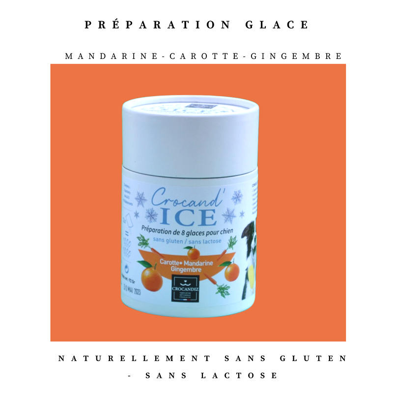 Kit pour glaces carotte mandarine