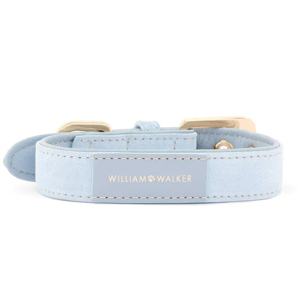 Collier pour chien Sky