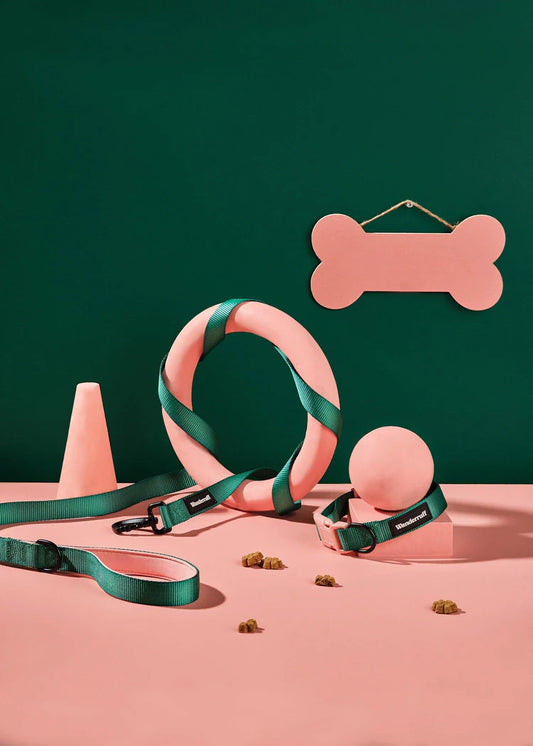 Laisse en sangle Lola