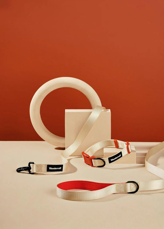 Laisse en sangle Gordy