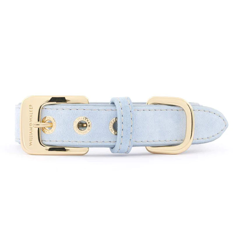 Collier pour chien Sky