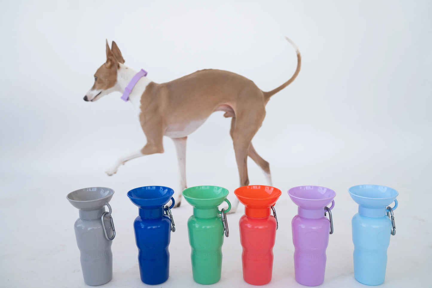 Gourde avec gamelle intégrée 65 cl