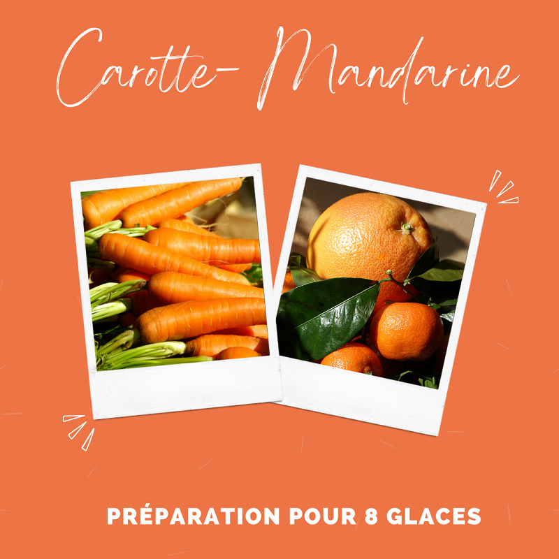 Kit pour glaces carotte mandarine