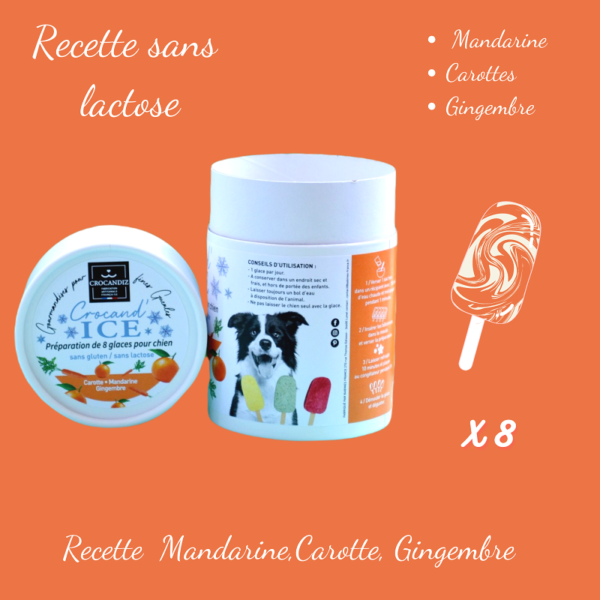 Kit pour glaces carotte mandarine