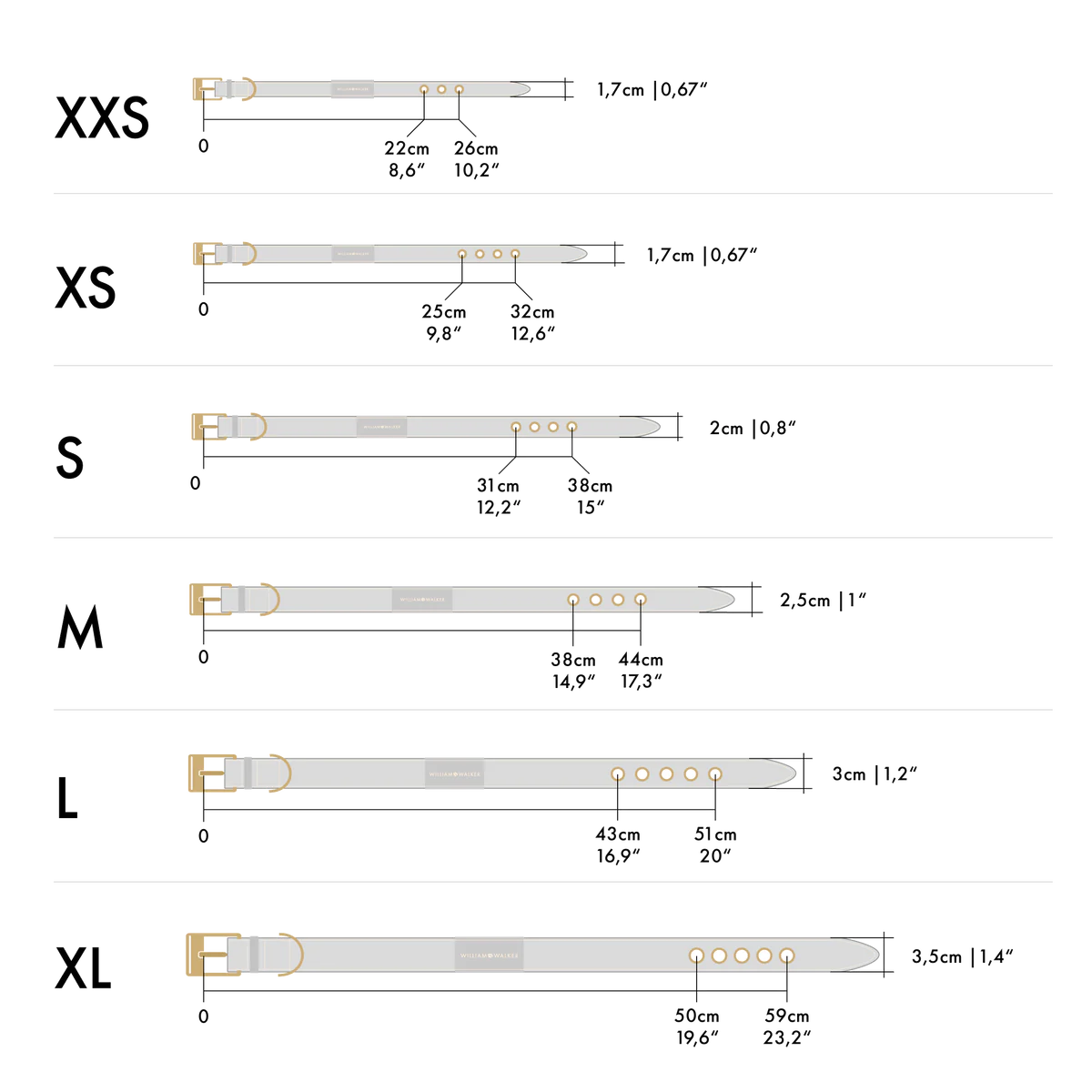 Collier pour chien Sea Salt