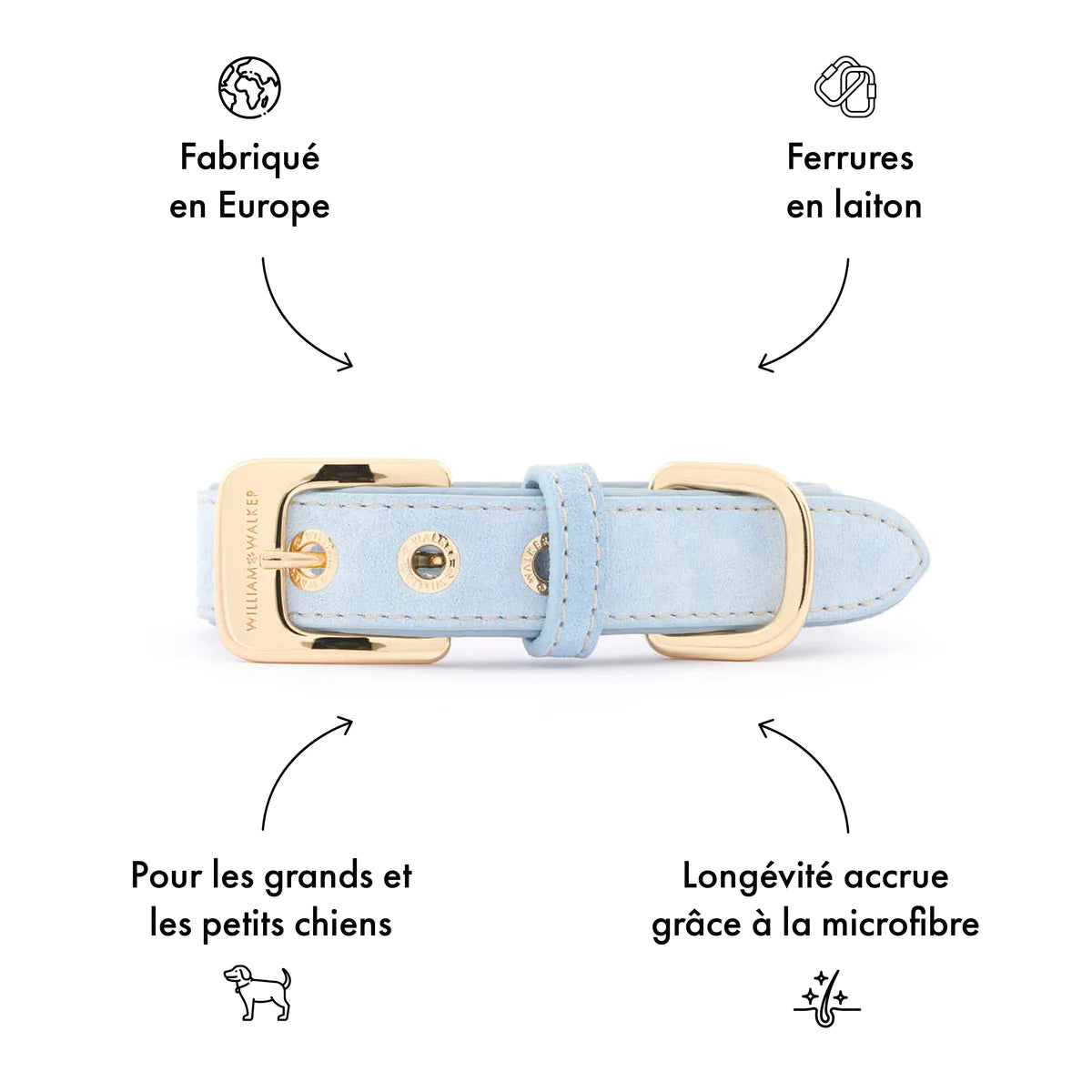 Collier pour chien Sky