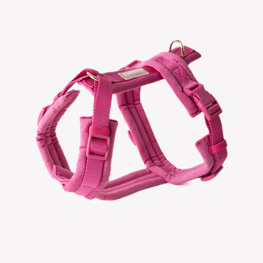 Harnais velours Magenta