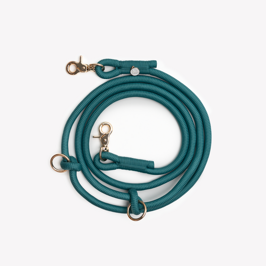 Laisse mains libres en corde Blue
