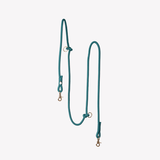 Laisse mains libres en corde Blue