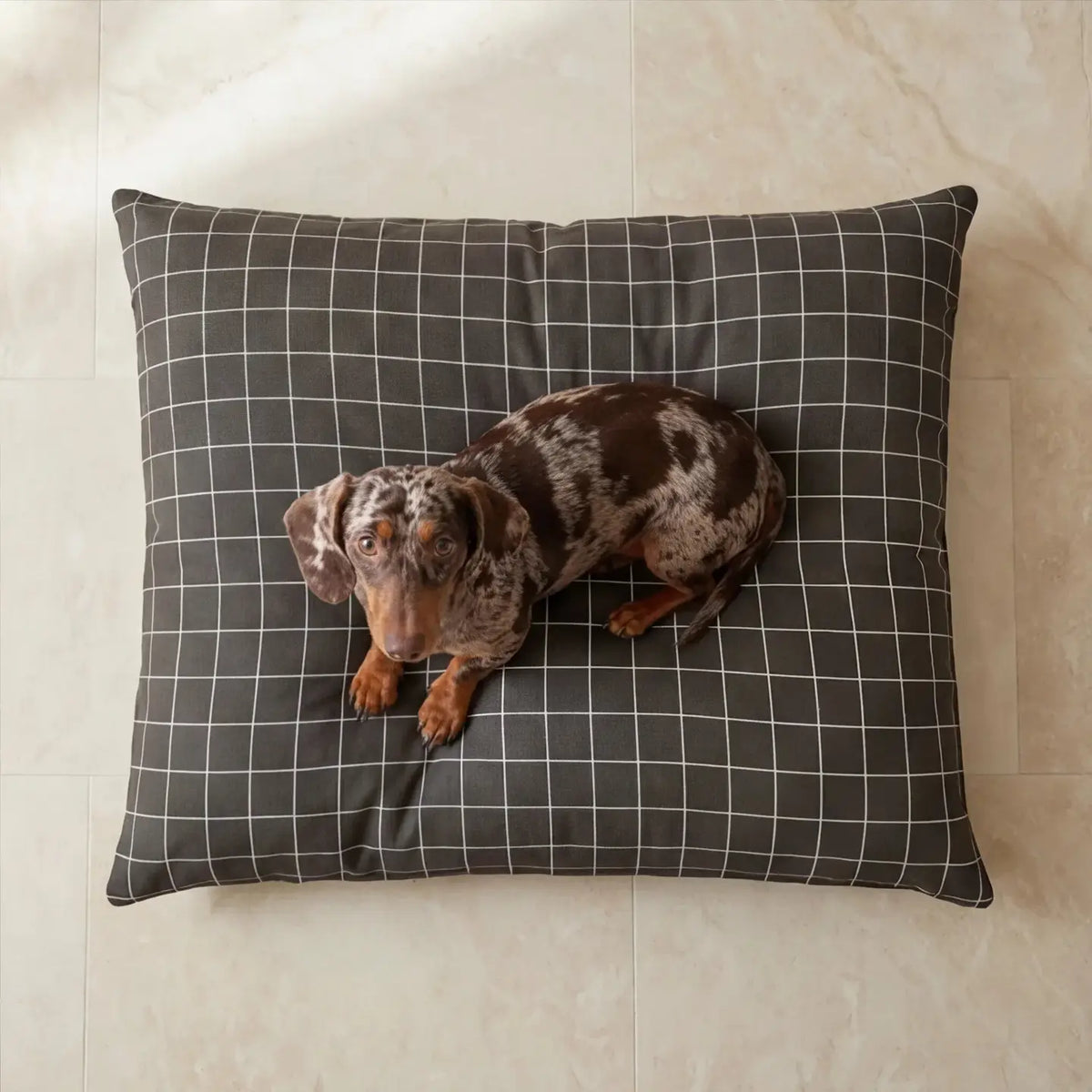 Coussin à motifs