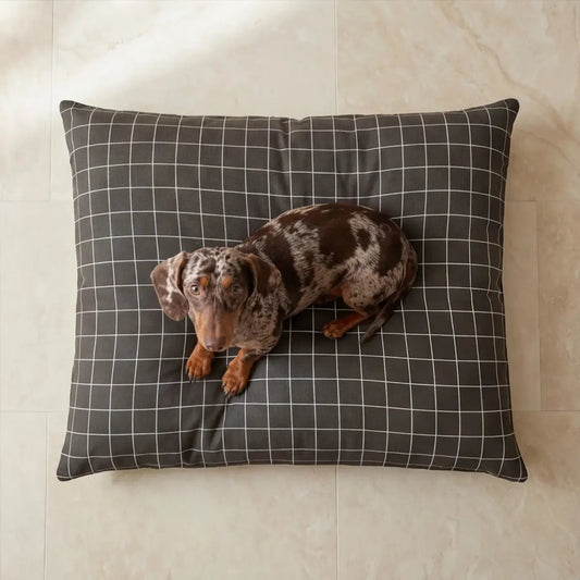 Coussin à motifs