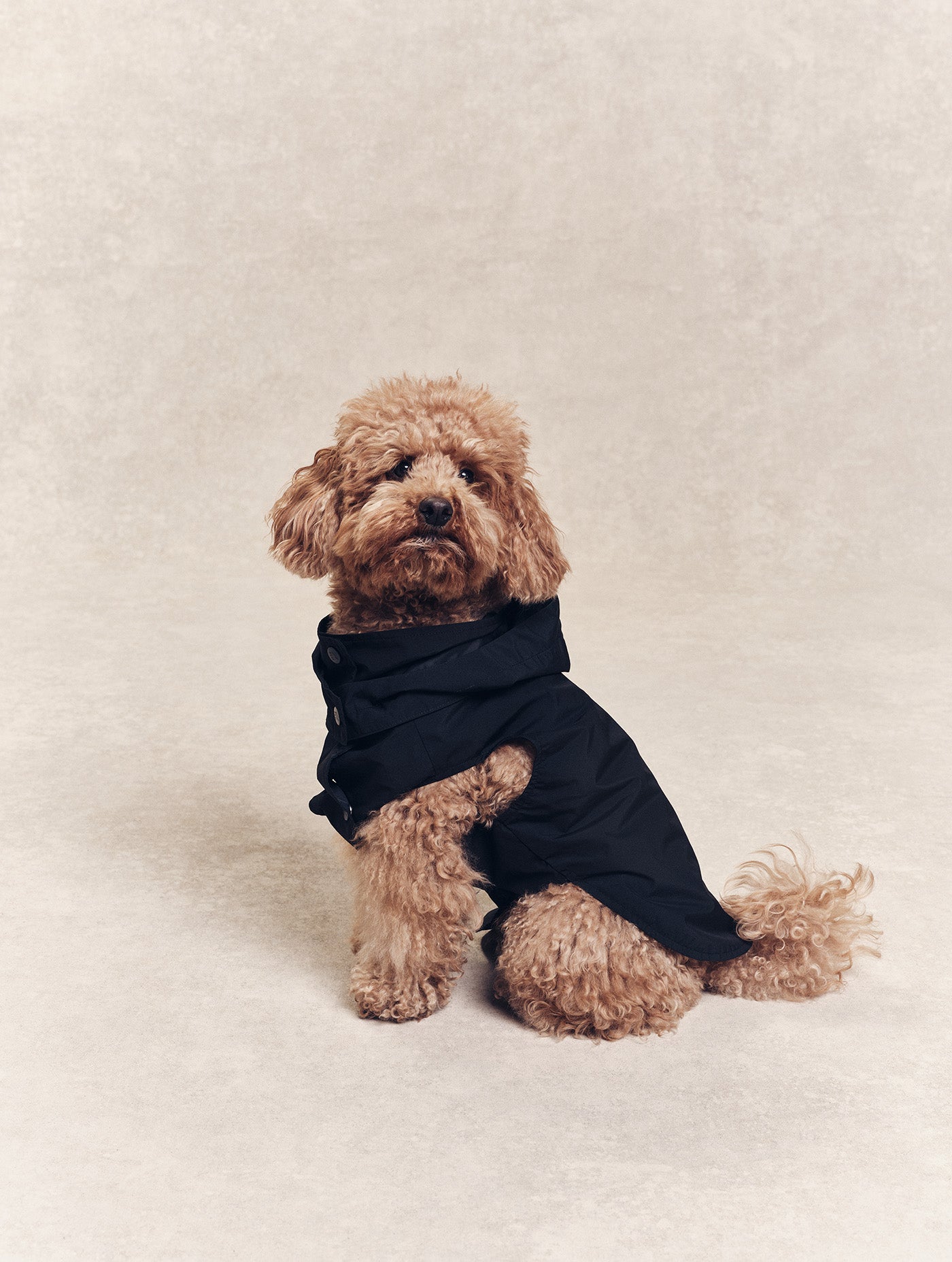 Imperméable pour chien Rainpack Light