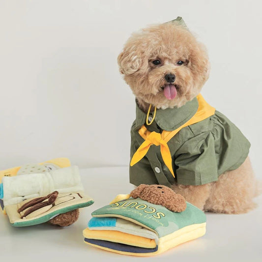 Livre de fouille Scouts