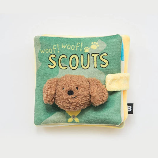 Livre de fouille Scouts