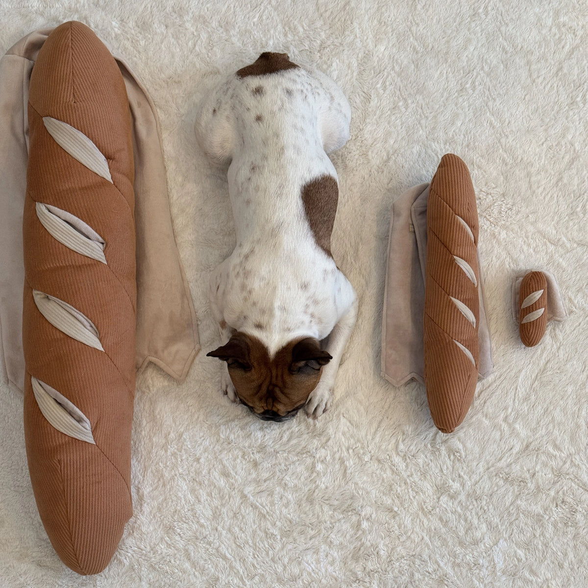 Jouet de fouille mini baguette