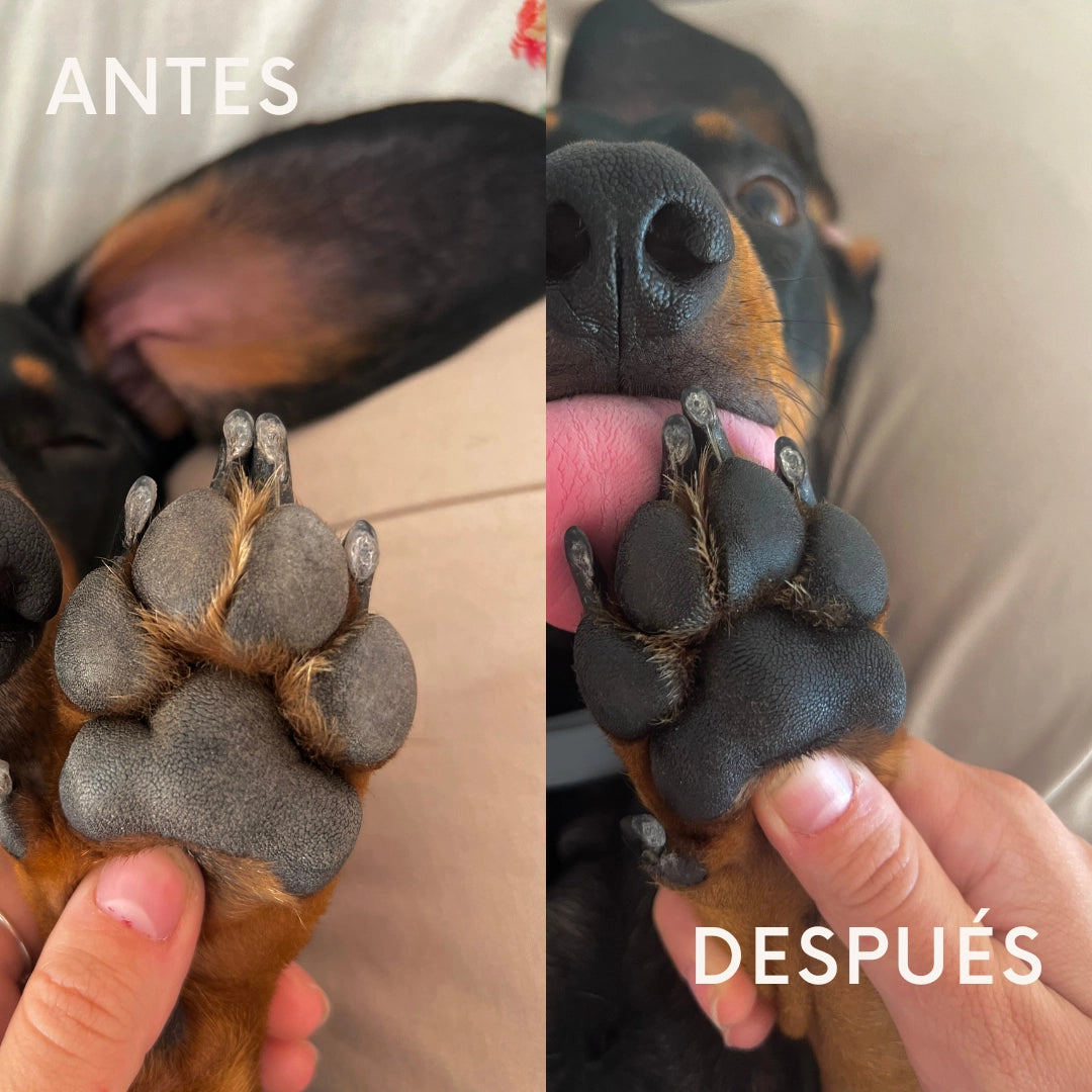 Crème hydratante pour les pattes