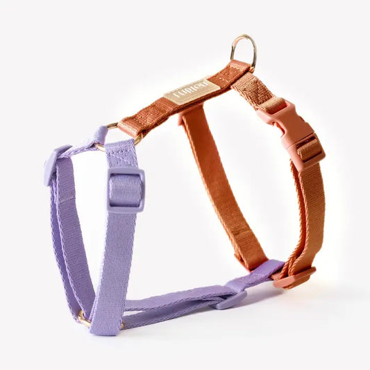 Harnais Lavender and Terracotta