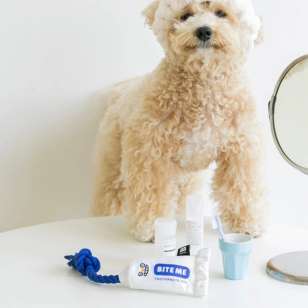 Jouet en peluche dentifrice