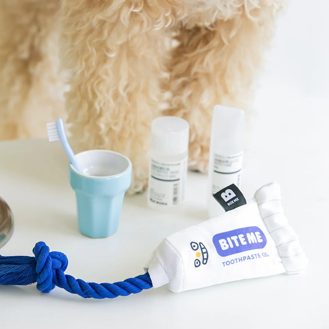 Jouet en peluche dentifrice