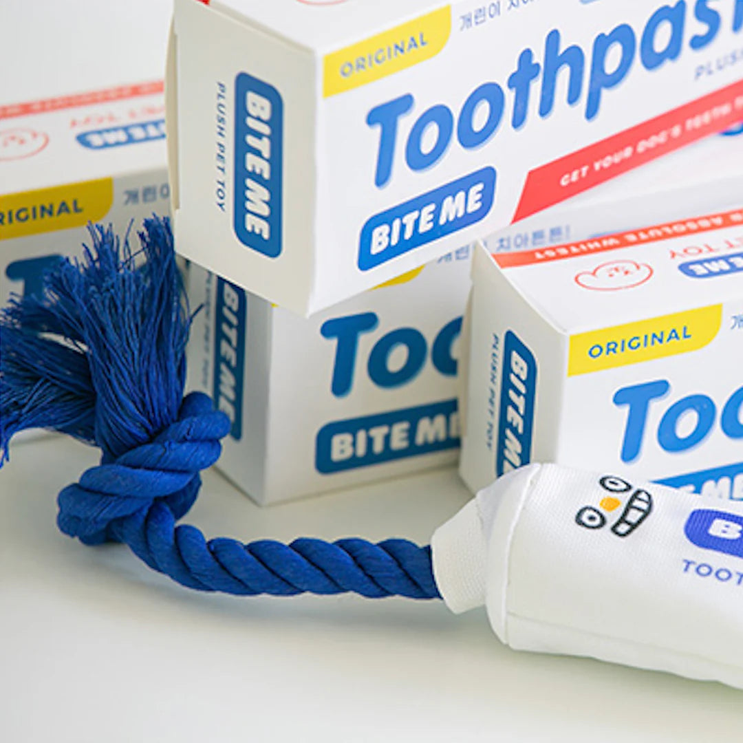 Jouet en peluche dentifrice